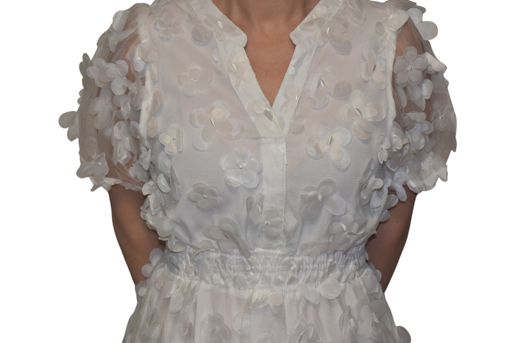 3D Butterfly Organza Dress